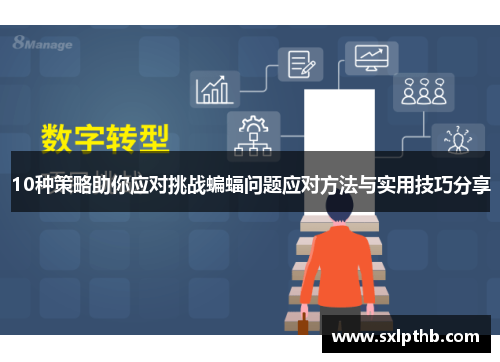 10种策略助你应对挑战蝙蝠问题应对方法与实用技巧分享 10种策略助你应对挑战蝙蝠问题应对方法与实用技巧分享